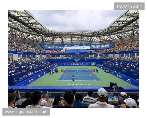 杭州网球队实力强劲荣登全国网球个人能力排行榜第五位